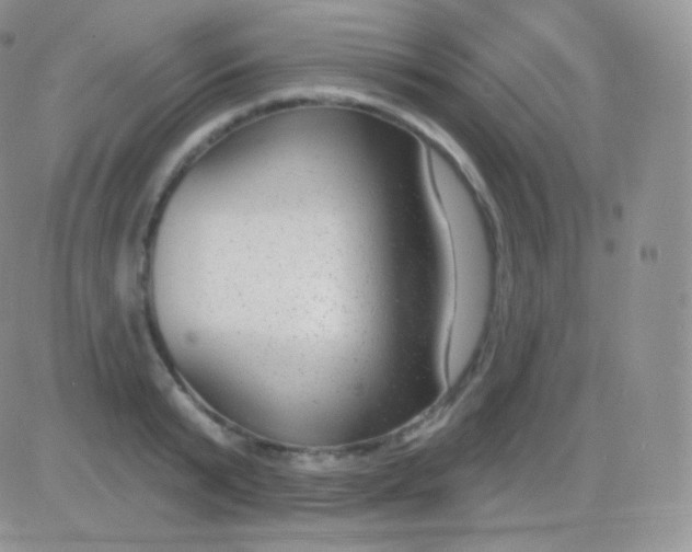 X0000083050799200702231954