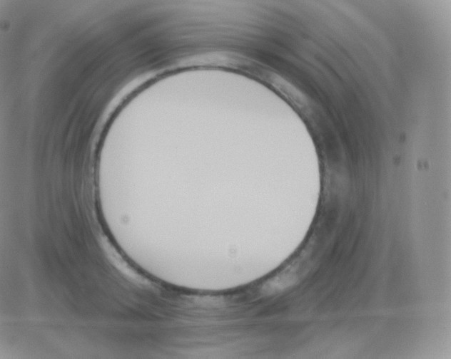 X0000083050800200702231954