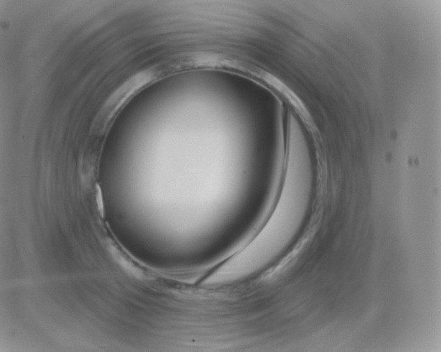 X0000083050801200702231954