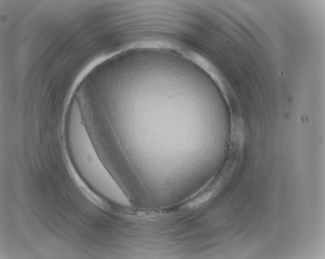 X0000083050803200702231954