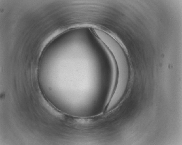 X0000083050805200702231954