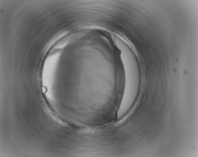 X0000083050806200702231954