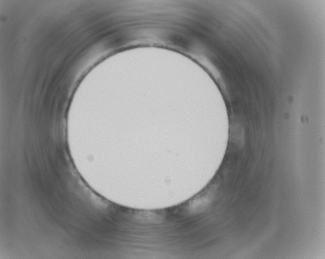 X0000083050807200702231954