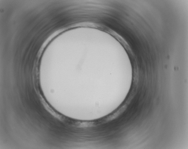 X0000083050808200702231954