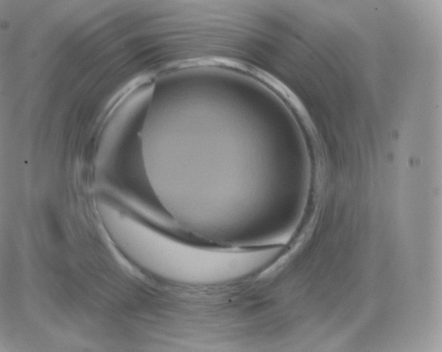 X0000083050809200702231954