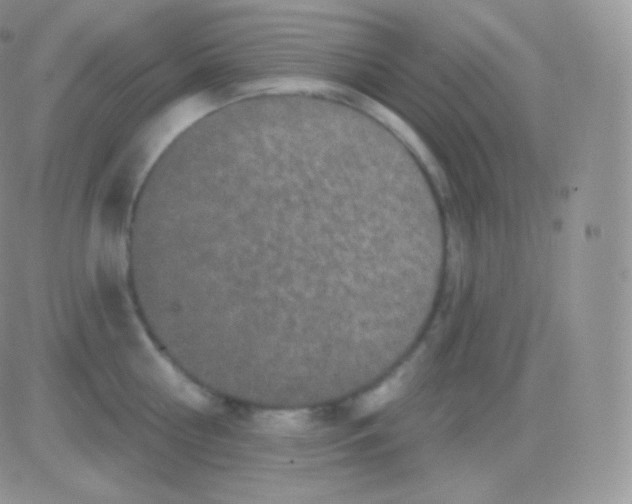 X0000083050810200702231954