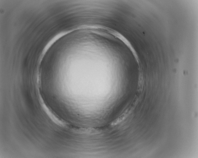 X0000083050811200702231954