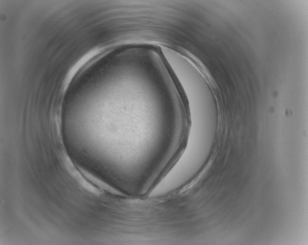 X0000083050812200702231953