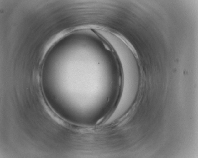 X0000083050813200702231953