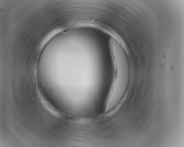 X0000083050814200702231953