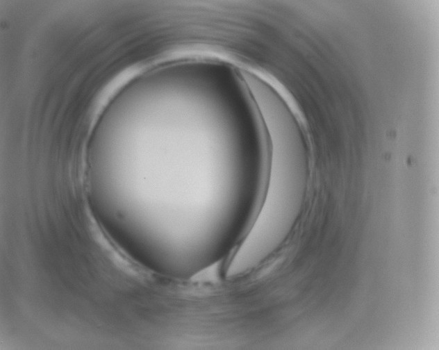 X0000083050815200702231953