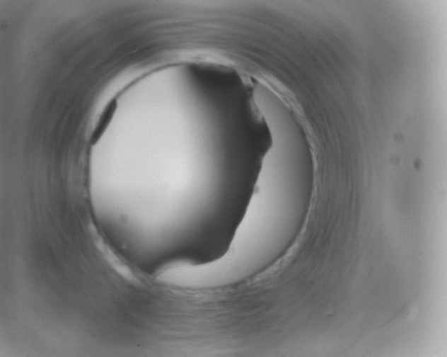 X0000083050816200702231953