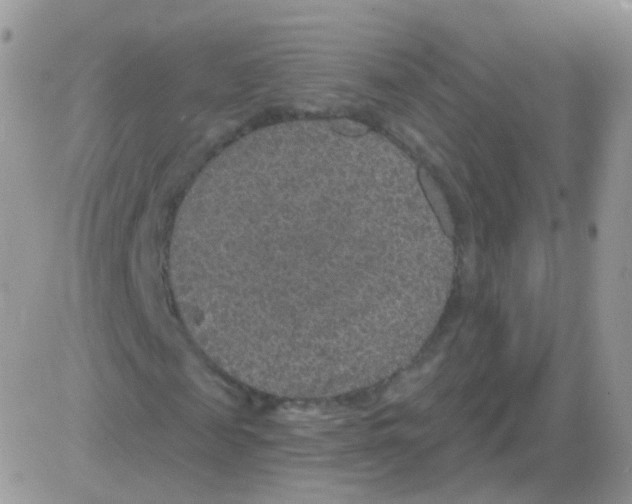 X0000083050817200702231953