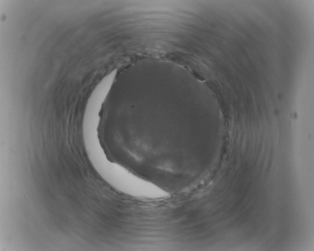 X0000083050818200702231953