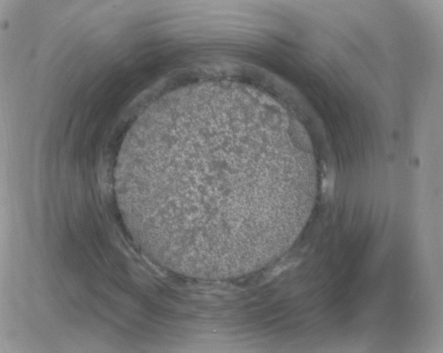 X0000083050819200702231953