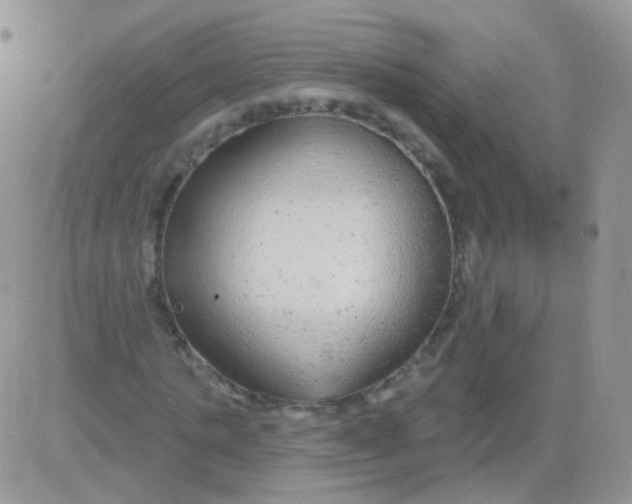 X0000083050821200702231953