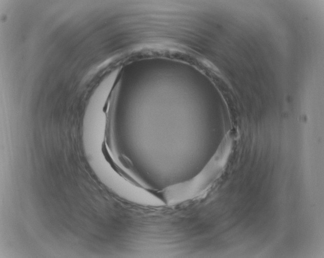 X0000083050822200702231953