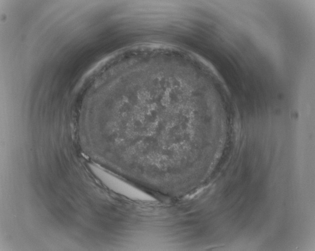 X0000083050823200702231953