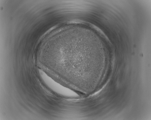 X0000083050825200702231953