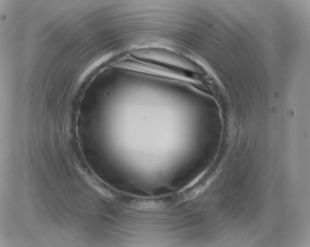 X0000083050826200702231953