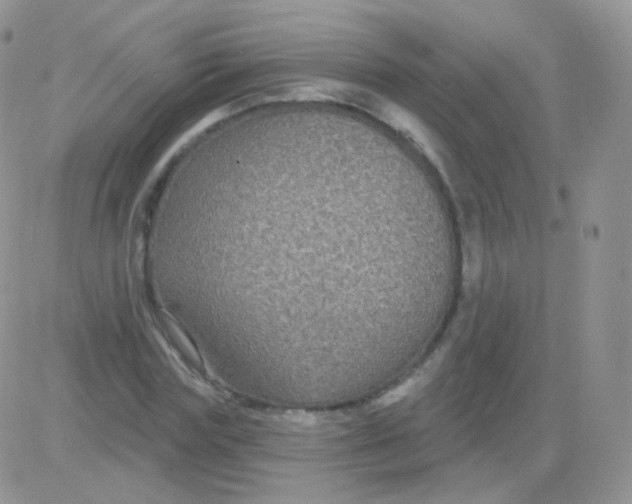 X0000083050827200702231953