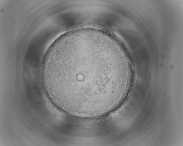 X0000083050828200702231953