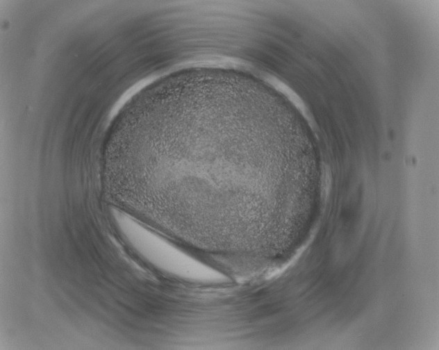 X0000083050829200702231953