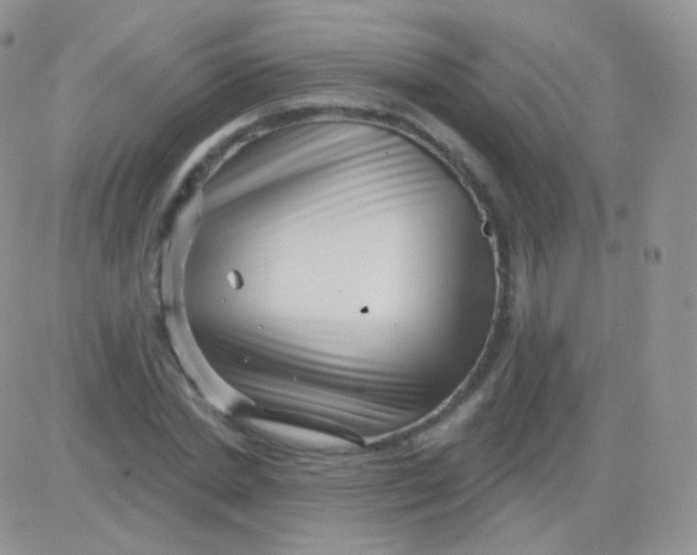 X0000083050830200702231953