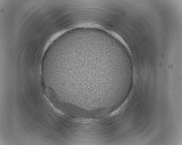 X0000083050831200702231953