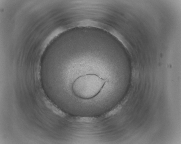 X0000083050832200702231953