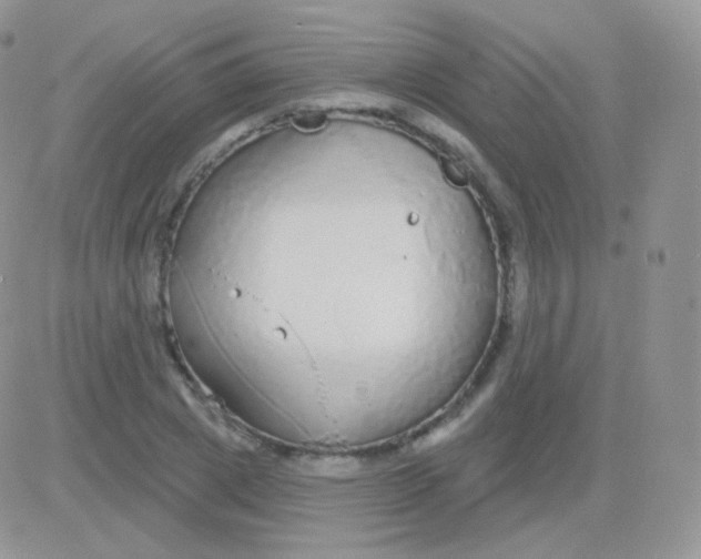 X0000083050833200702231953