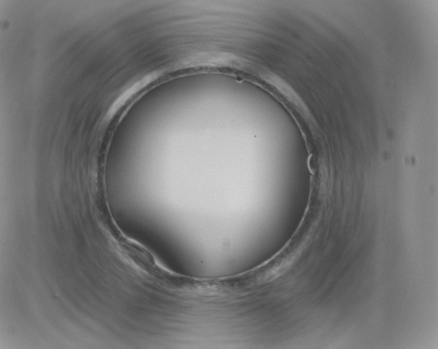 X0000083050834200702231953