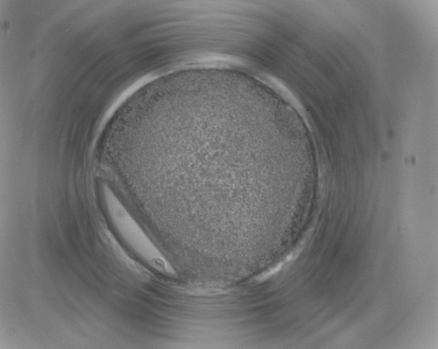 X0000083050835200702231953