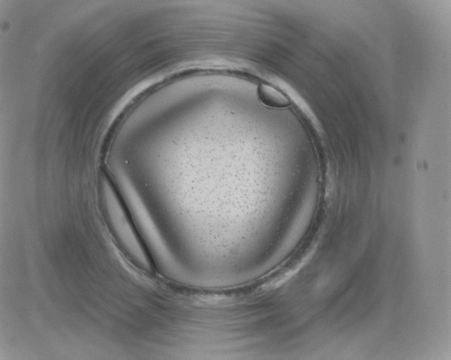 X0000083050837200702231953