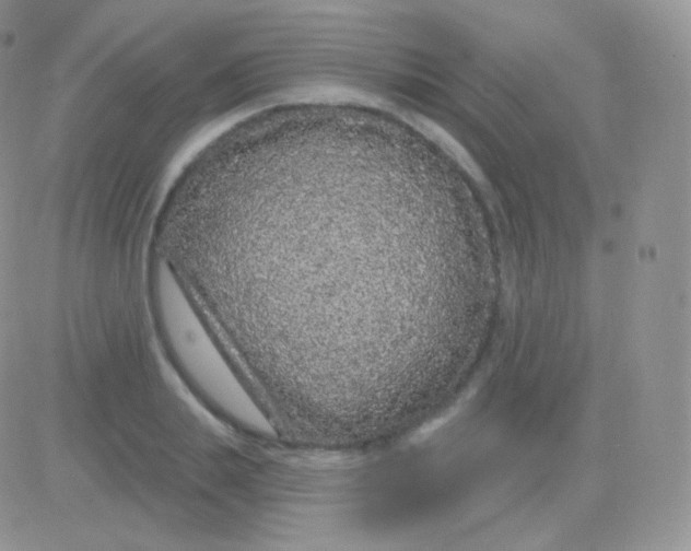 X0000083050839200702231953