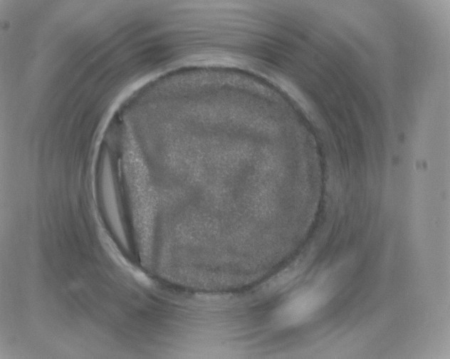 X0000083050840200702231953