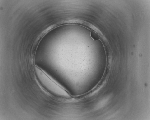 X0000083050841200702231953