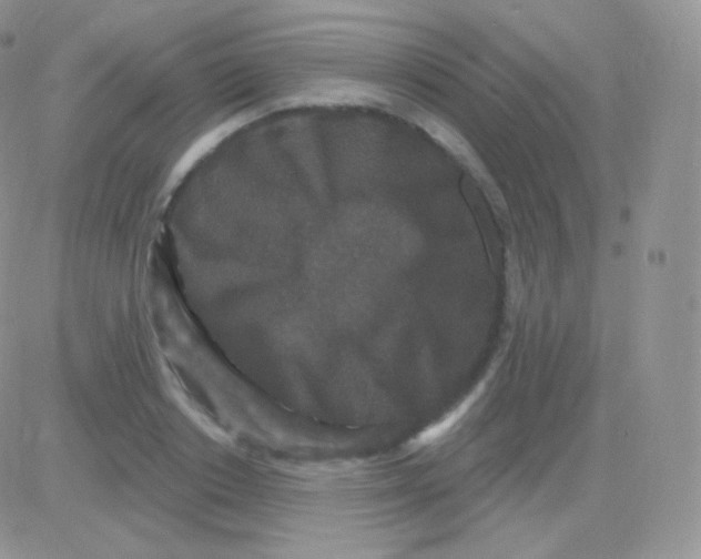 X0000083050842200702231953