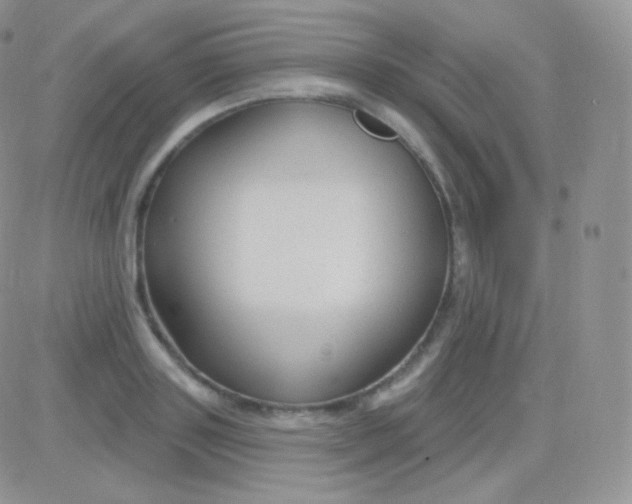 X0000083050843200702231953