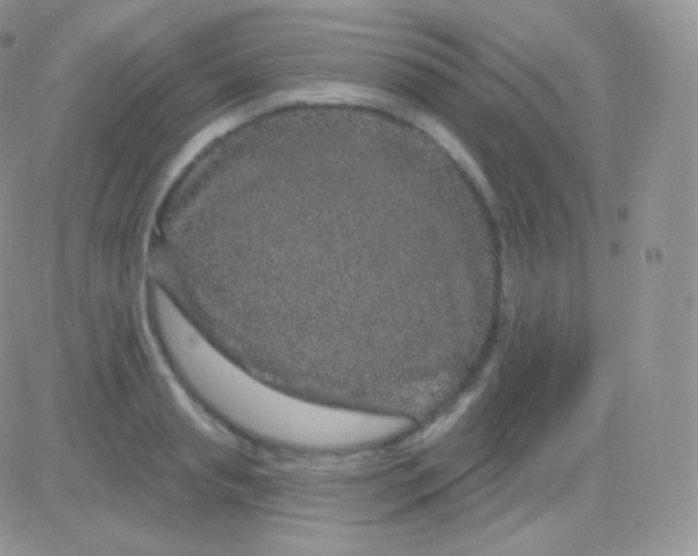 X0000083050845200702231953