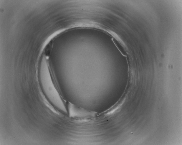 X0000083050846200702231953