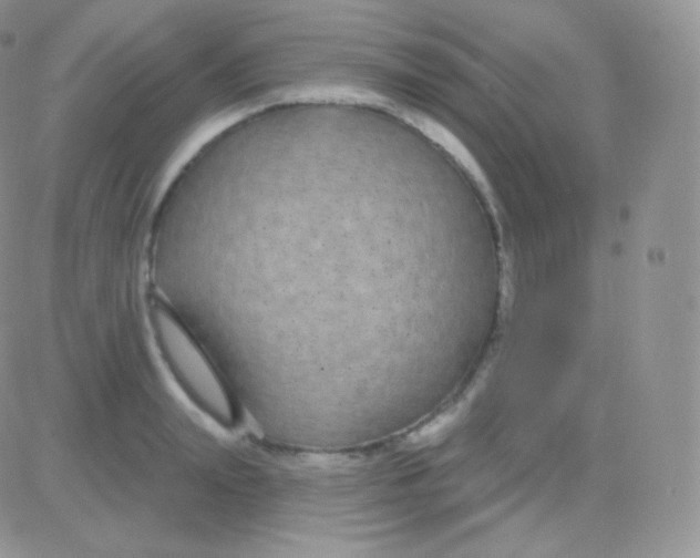 X0000083050847200702231953