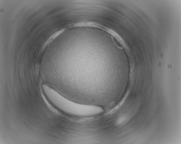 X0000083050849200702231953