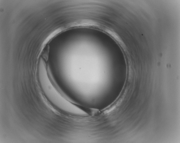 X0000083050850200702231953