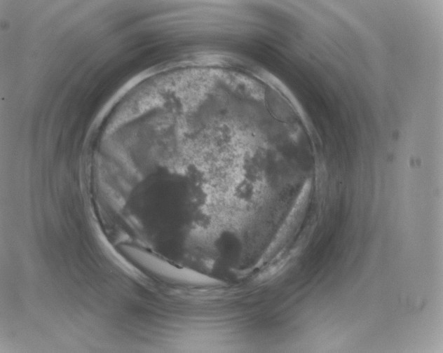 X0000083050851200702231953