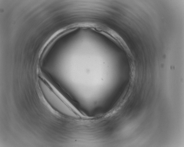 X0000083050852200702231953