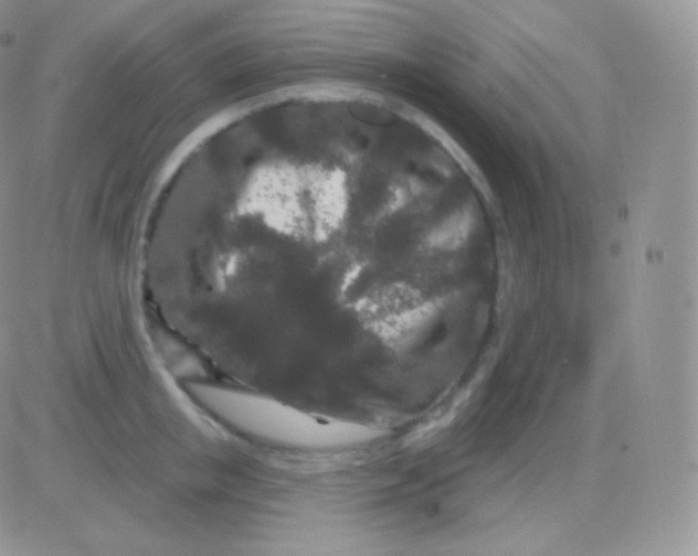 X0000083050853200702231953