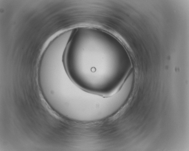 X0000083050854200702231953