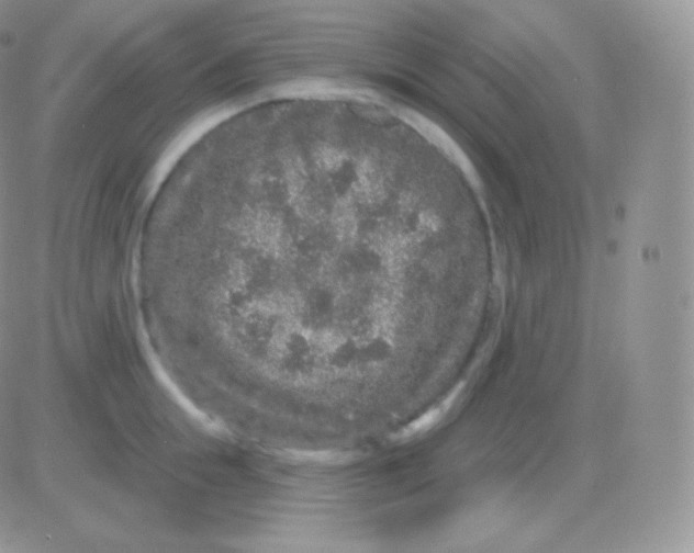 X0000083050855200702231953