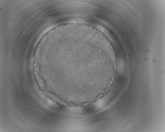 X0000083050856200702231953